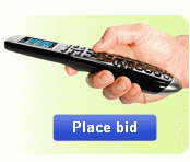 auction_but